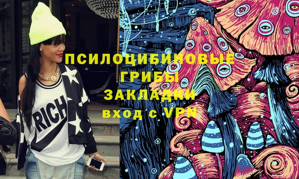 шишки Абаза