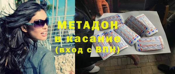 шишки Абаза