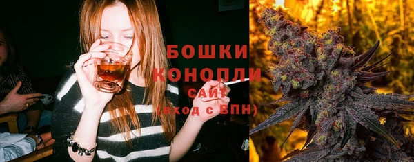 шишки Абаза