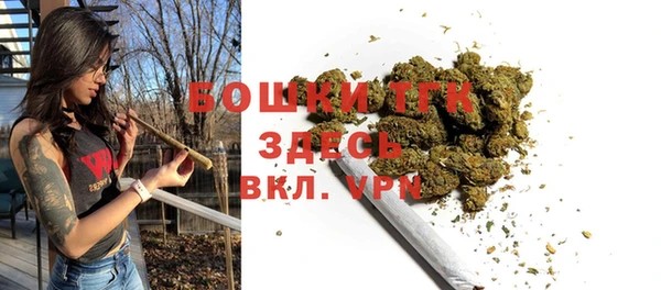 шишки Абаза