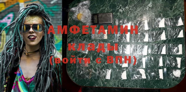 шишки Абаза