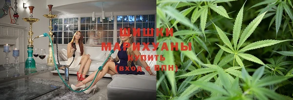 шишки Абаза