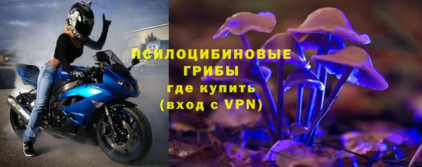 сатива Абдулино