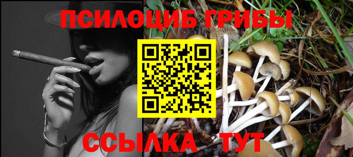 Галлюциногенные грибы MAGIC MUSHROOMS Сарапул