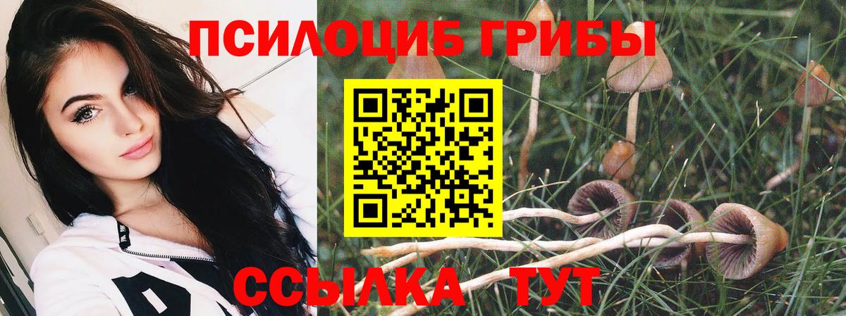 Сарапул  Галлюциногенные грибы Magic Shrooms  Галлюциногенные грибы ЛСД  Вход с VPN 